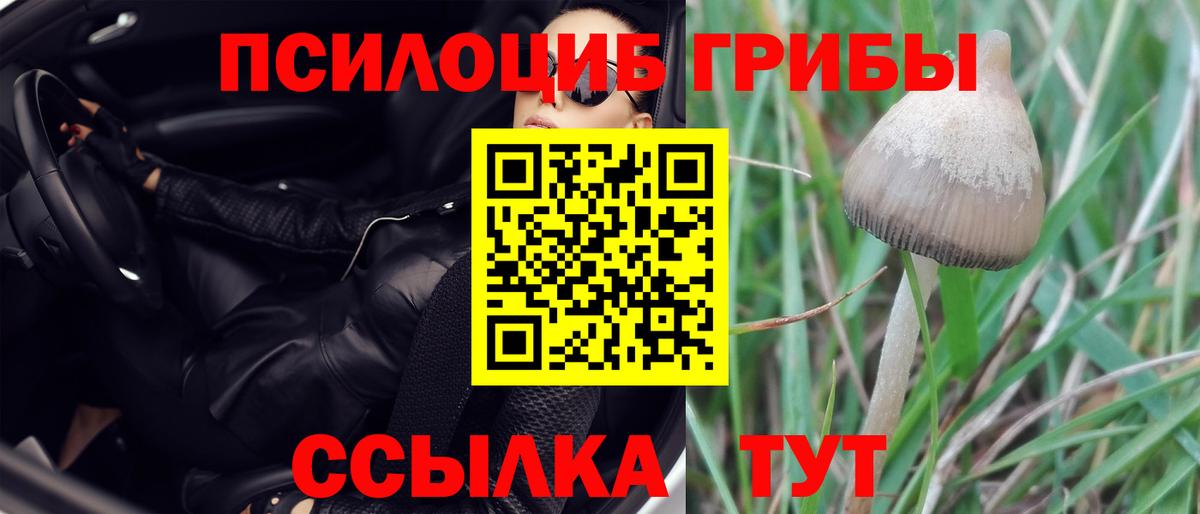 Псилоцибиновые грибы прущие грибы  Галлюциногенные грибы Cubensis  Вход с VPN  Камышин 
